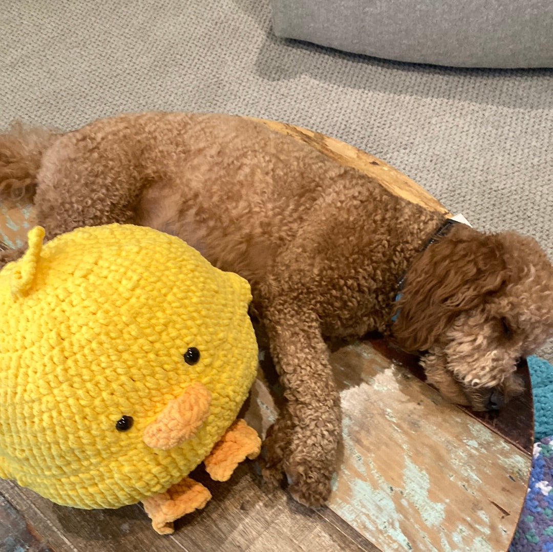 Duckie Plush