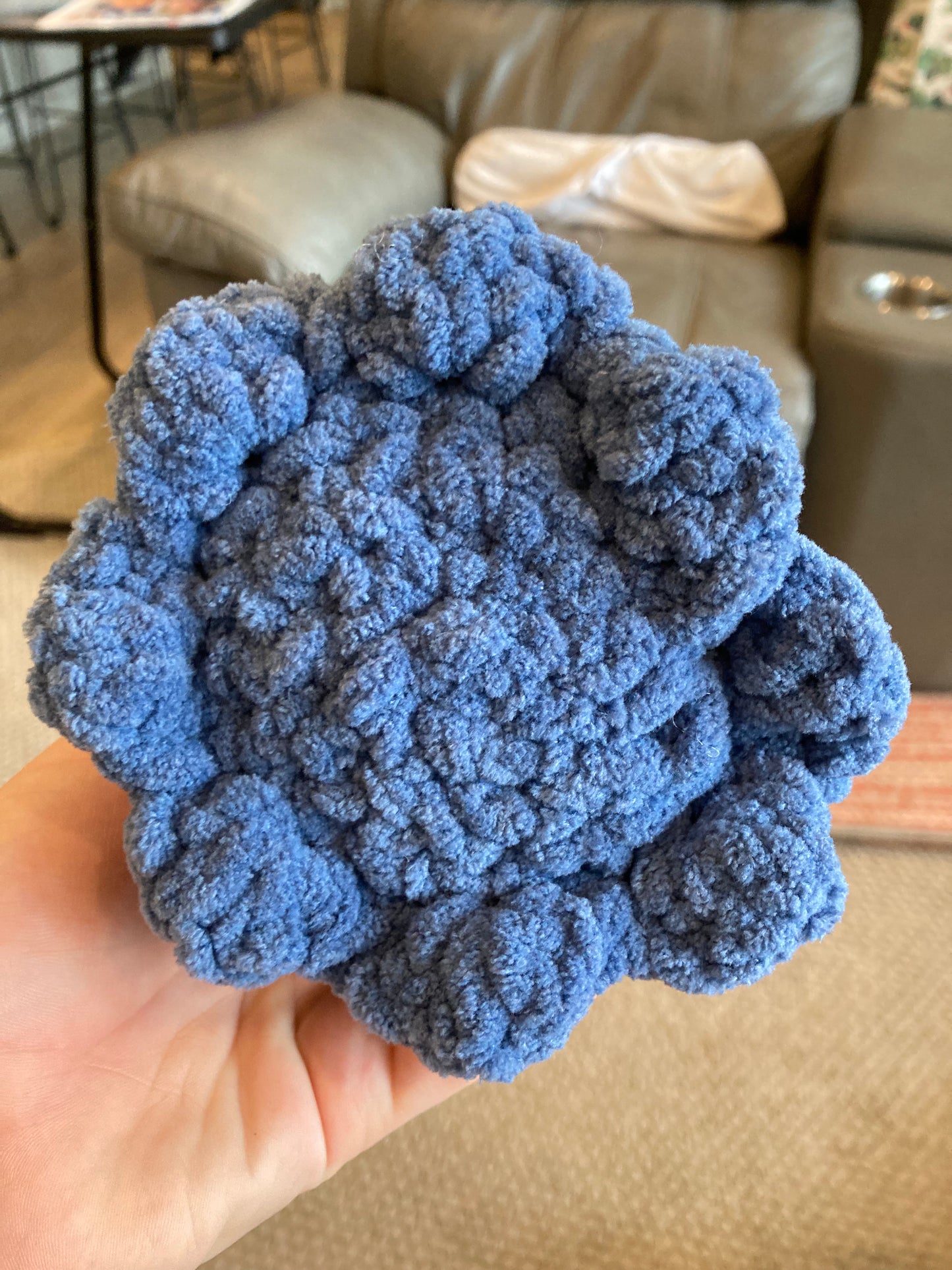 Medium Octopus